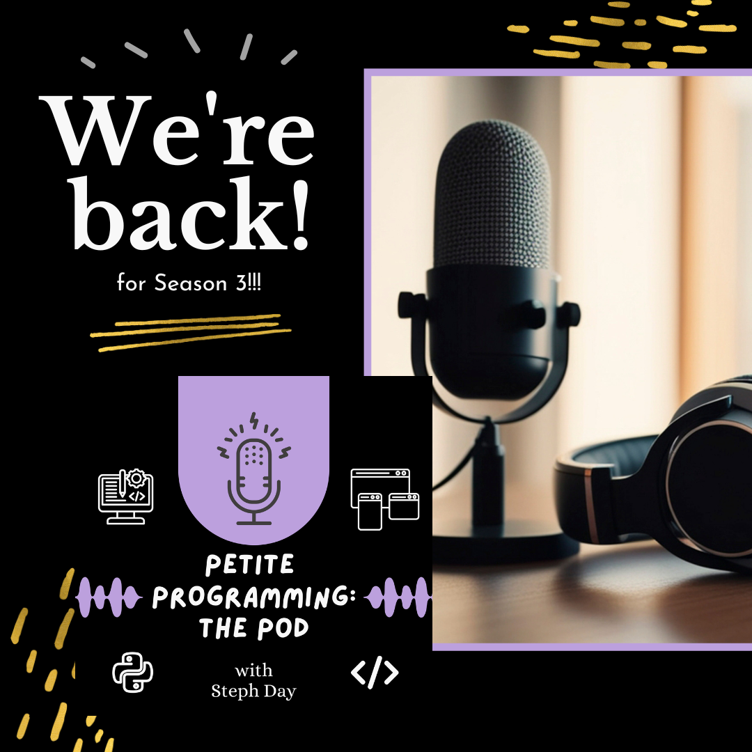 Petite Programming Instagram post